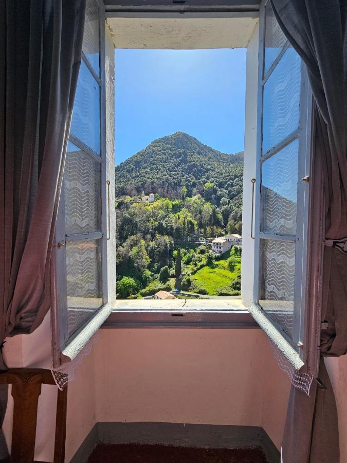 סרביון Palazzu Massoni, Magnifique Vue Sur La Mer Et La Montagne, Clim, Wifi, Parking Gratuit מראה חיצוני תמונה